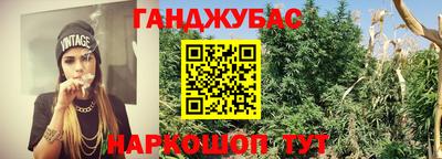 apvp Свободный