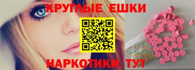 apvp Свободный