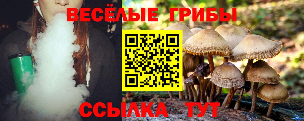 Рассказово  Галлюциногенные грибы MAGIC MUSHROOMS  Вход с VPN 